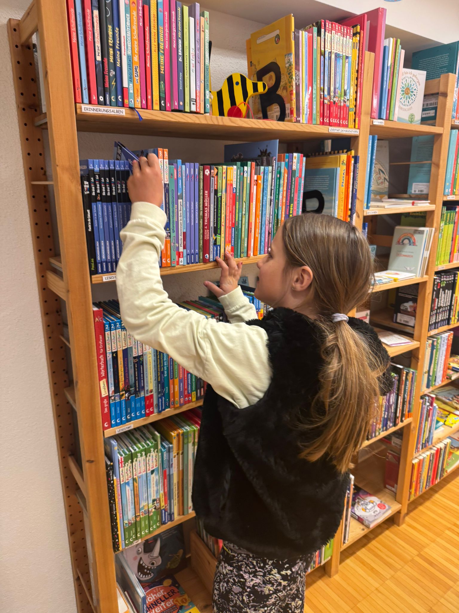 2026 04 28 L.Buhler Paprika Gestell